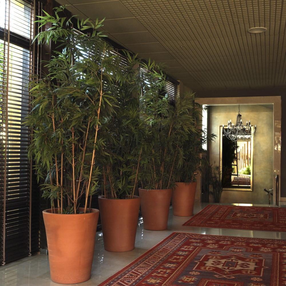 Luna Club Hotel Yoga&Spa 4Sup Malgrat de Mar Exterior foto